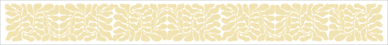 spot_img